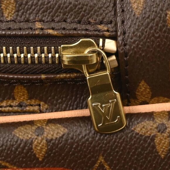 Louis Vuitton Monogram Amazon Crossbody Bag M45236 TJ3160 196210 - Picture 7 of 10